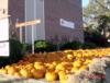 United Methodist Church Halloween pumpkins for sale